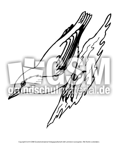 Ausmalbild-Kleiber.pdf